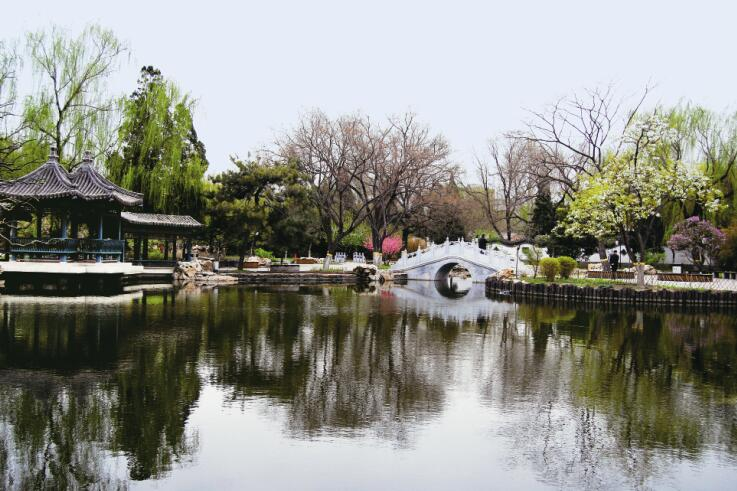 公園綠化養(yǎng)護(hù)
